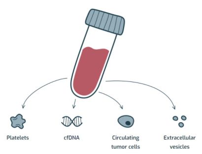 Platelets - biopsy blood