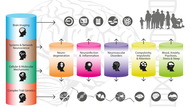 Figure 1 - Amsterdam Neuroscience Infographic