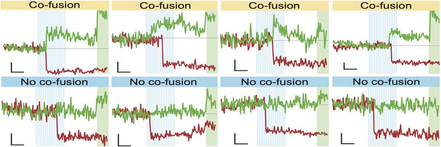 Eight different graphics illustrating the impact of calcium