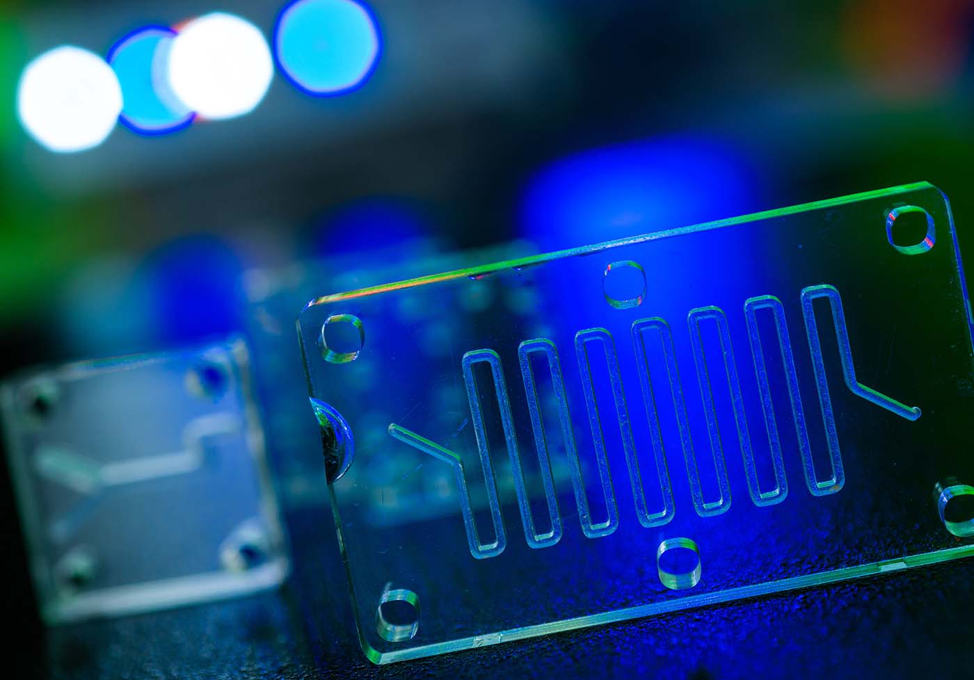 Organ-on-Chip technology