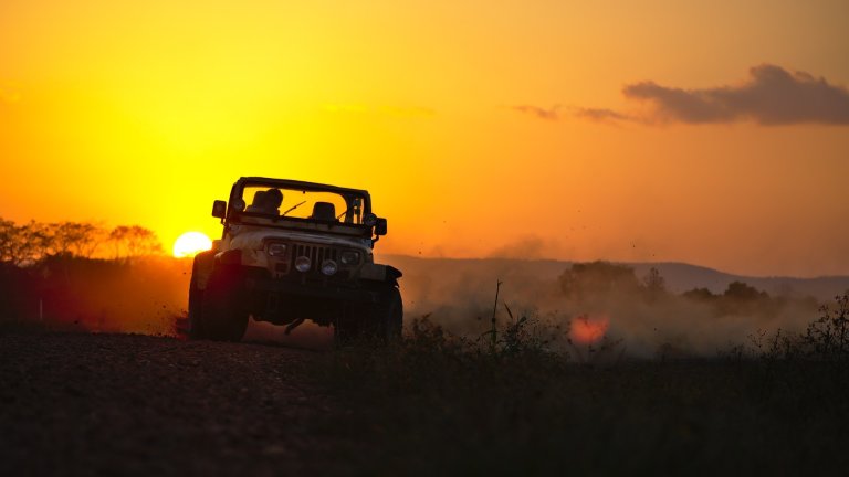 doctoral school about