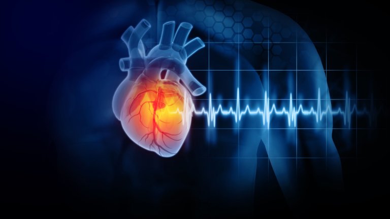 Transgender women do not have an increased risk of heart attack and stroke