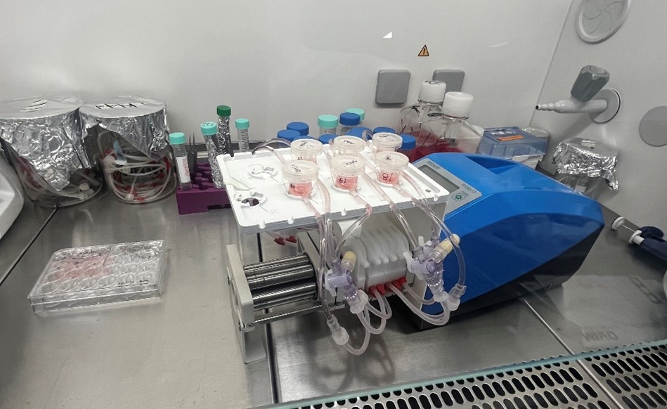 Experiment using the MIVO® millifluidics device