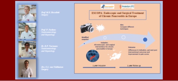 Infographic Clinical grant 2020 Charlotte van Veldhuisen