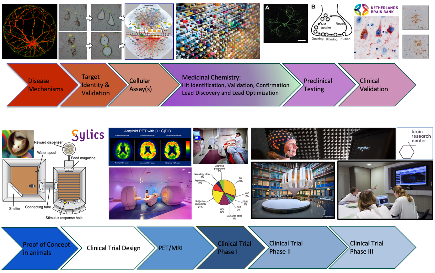 Different stages of translational research