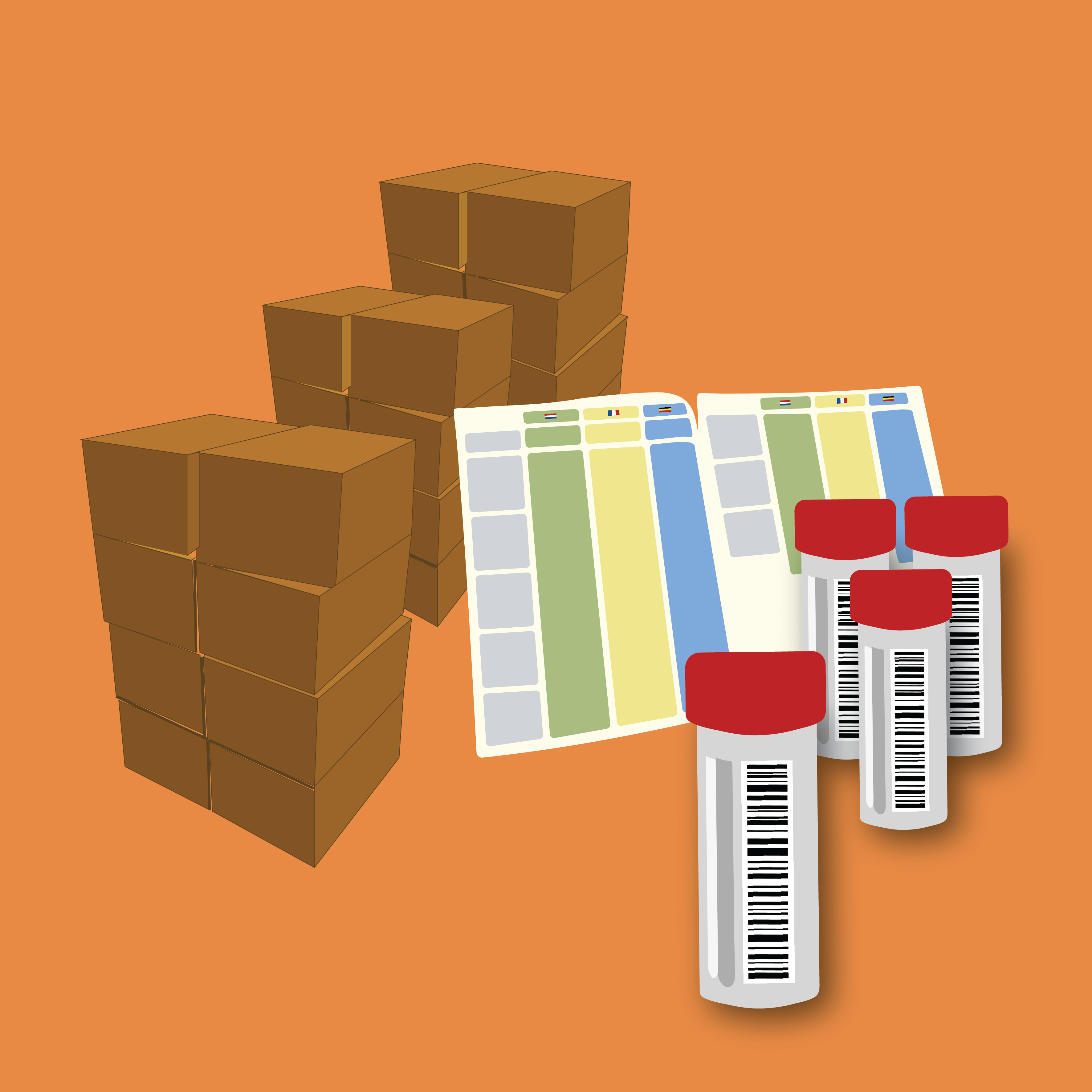 Illustration by: Valentina Bravo