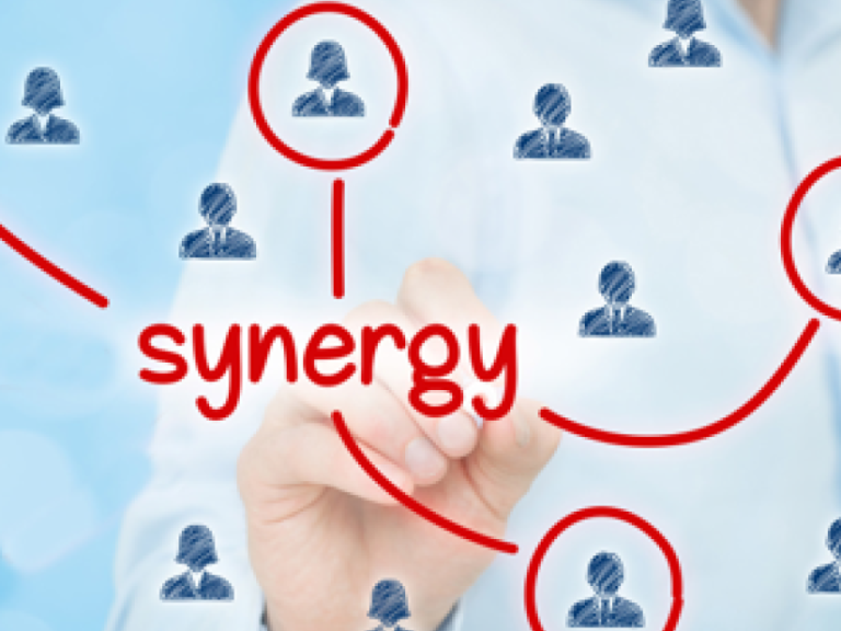 Cross-Institute Synergy Grant