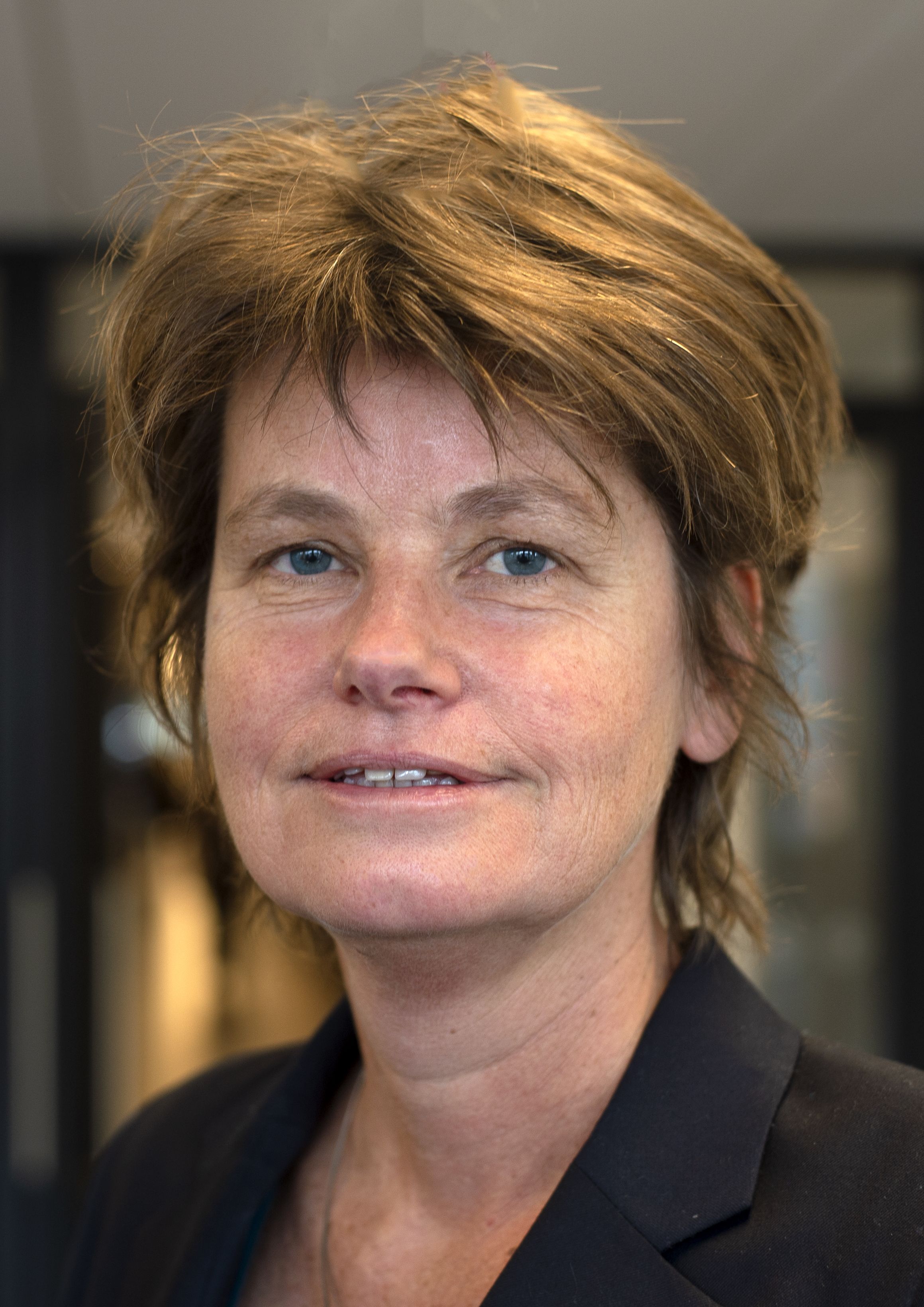 Karien Stronks 