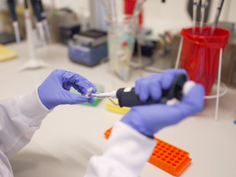 Understanding the course of MS