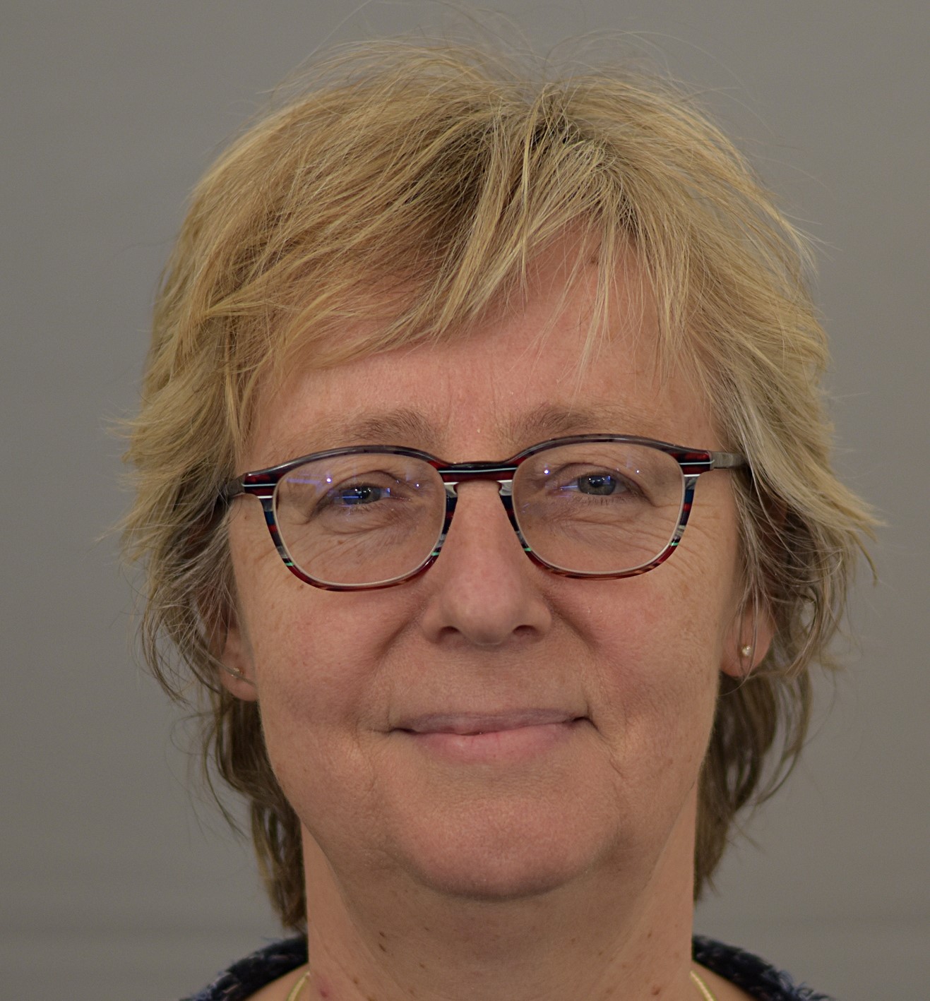 Anneke van Schaik