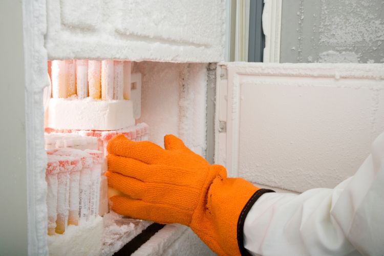 Join the freezer challenge!