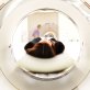 Depression cannot be diagnosed with an MRI scan