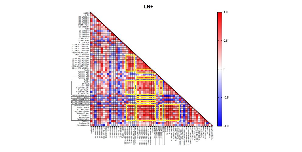 The figure shows a correlation matrix, demonstrating coordinated regulation of various immune suppressive immune subsets in lymph nodes invaded by vulvar tumor cells. 