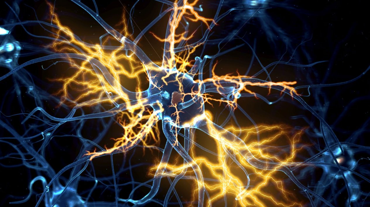 Rob W&uuml;st receives ZonMw grant for research into Long COVID