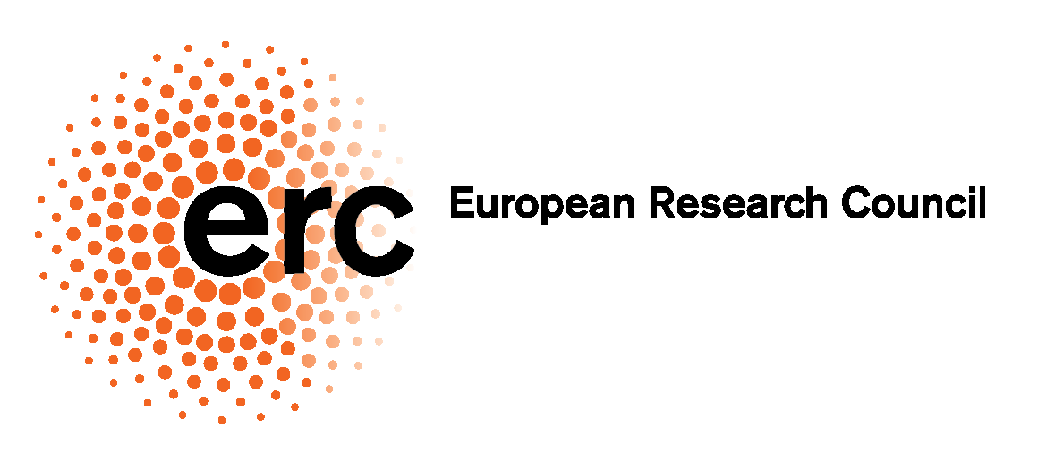 ERC Consolidator grant for Reinier Boon
