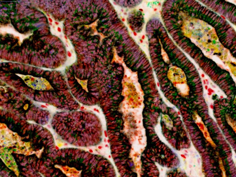 Group of Sandra van Vliet