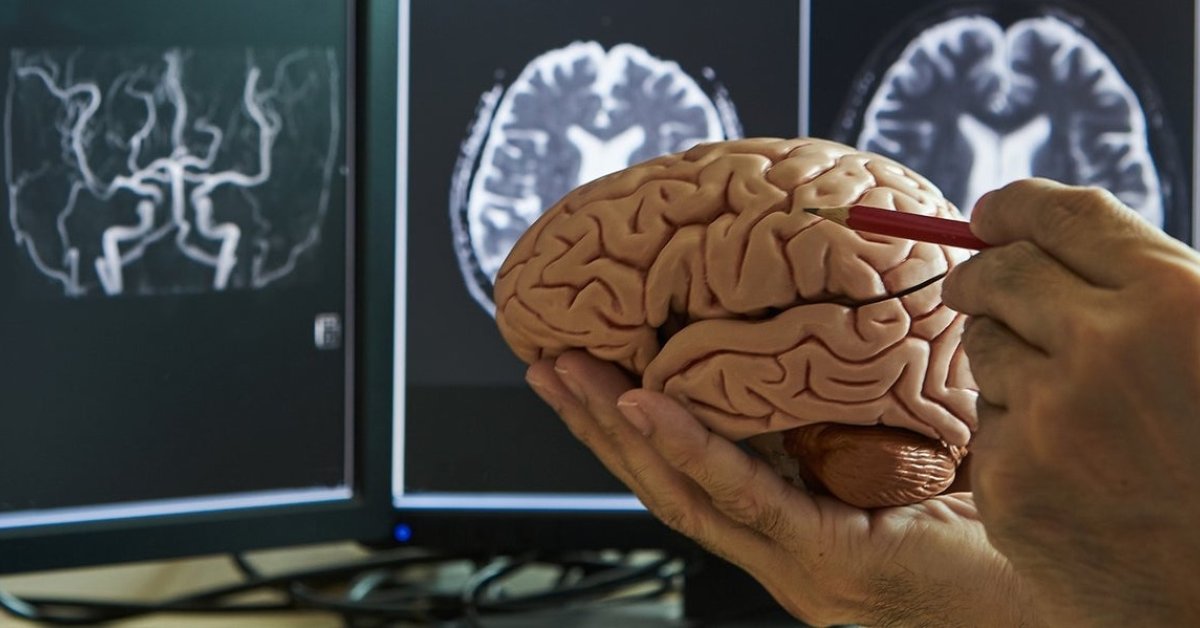 DNA from embryonic brain provides insight into psychiatric disorders ...