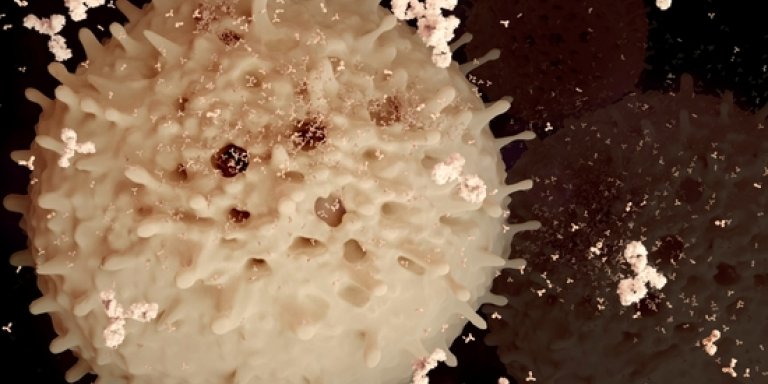 Voorspellende test helpt reuma te voorkomen